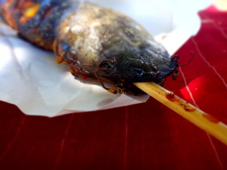 DSC07362.JPG