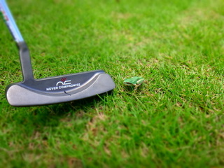 DSC08085.JPG
